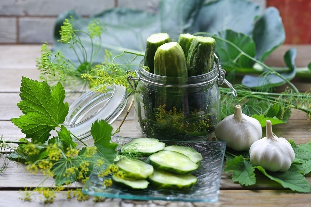 ��� ��������� ���������������� ������: ������� �������� ��������