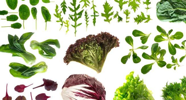 �������� ������: ���������� � ��� ������������