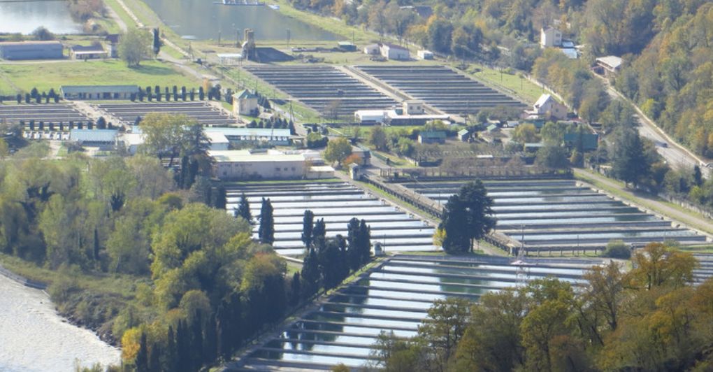 ������������ ��������� ��������� �� ������ ������