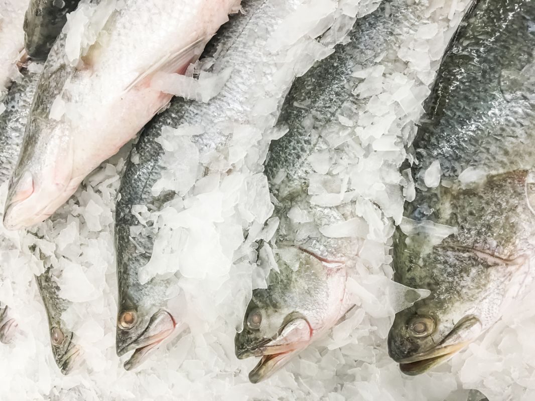 ����� �������� ��� ��������� ����: ��� ��������� � ���� 2026 ����