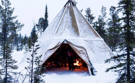 Почему сырые дрова так популярны на Крайнем Севере