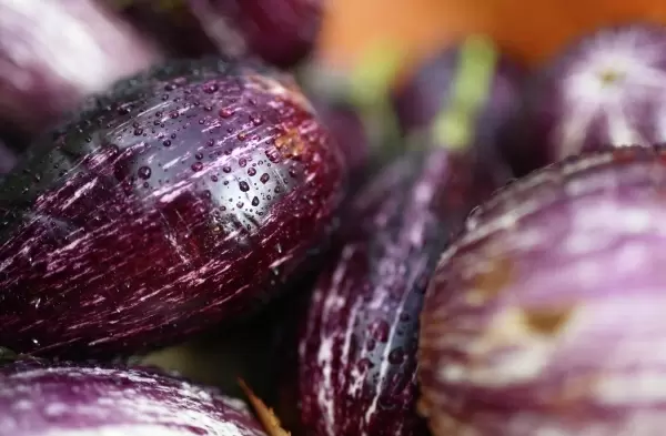 Как выбрать идеальные баклажаны: советы от шеф-повара