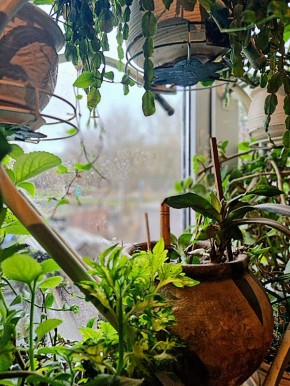 ��� ��������� ������ ���������� �� ���������� ������� � �������� ��������