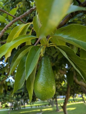 �������: ������������ ���� ������� � ������� ���-�������