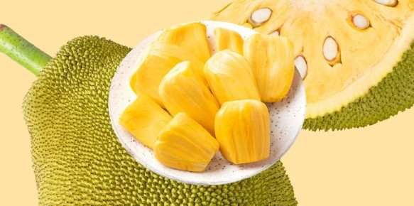 10 ����� ���������� ������� 2025 ����