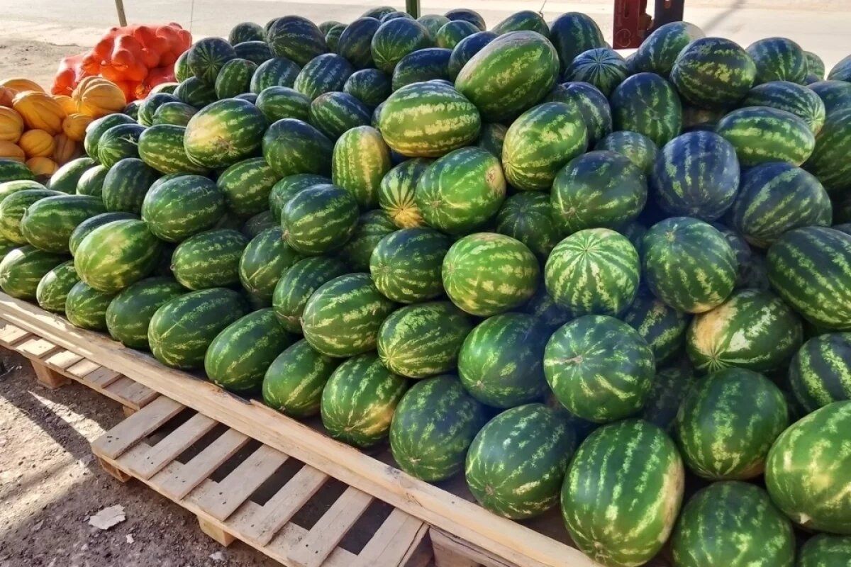 Почему арбузы и дыни должны стать вашими летними союзниками