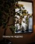 Насыщенная неделя в ресторанах: Фестивали, меню и события