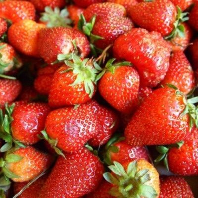 Клубника Мария: ранняя ягода с удивительными свойствами
