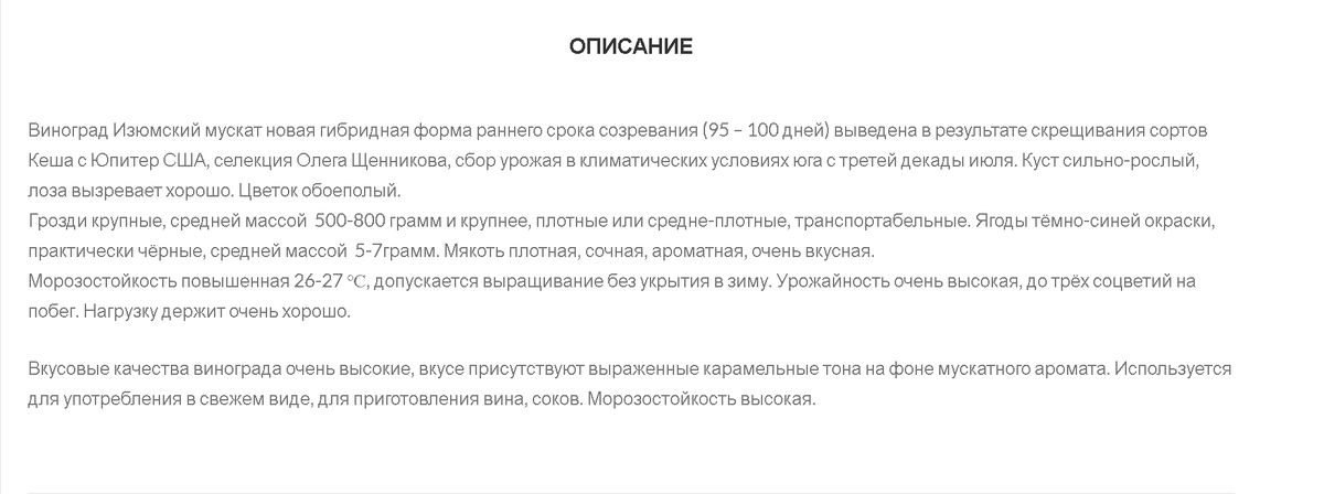 Актуальные тренды домашнего виноделия в 2025 году